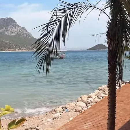 Antalya And Homes *